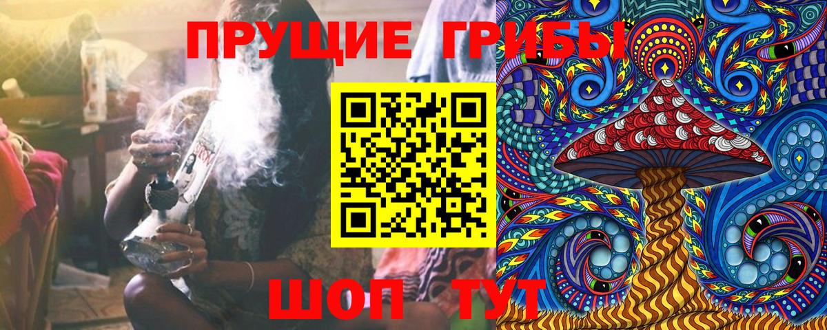 Псилоцибиновые грибы мицелий Оренбург